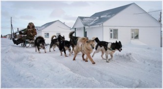 Чукотские каюры