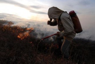 Природный пожар