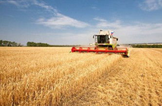 Сельское хозяйство 