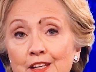 Муха села на Хиллари Клинтон