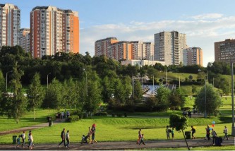 Озеленение 