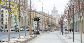 Озеленение 