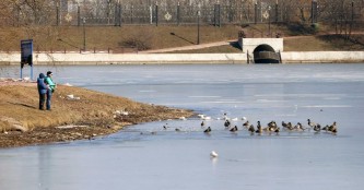 Московские пруды 