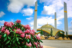 Мечеть Сердце Матери