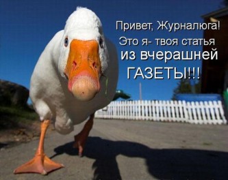 Газетная утка 