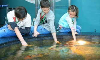 Москвариум 