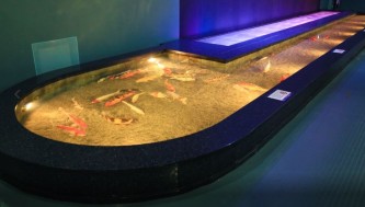 Москвариум