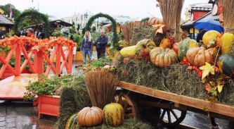 Золотая осень 