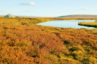 Дальневосточный гектар